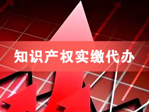 德兴知识产权实缴资本代办